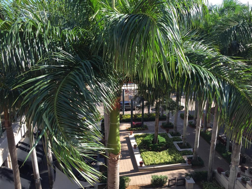 Lyx Suites At Merrick Park In Coral Gables Quarto foto